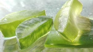 Aloe Vera: Benefícios, Usos e Como Utilizar Essa Planta Poderosa